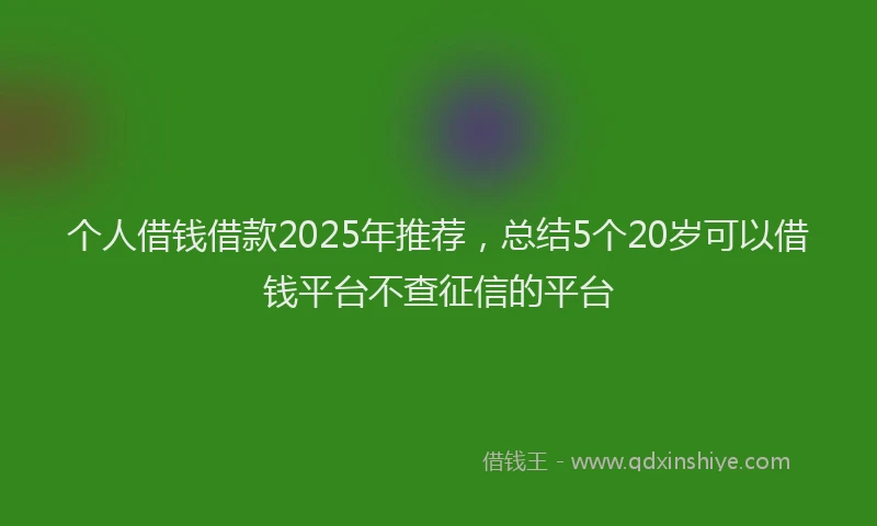 个人借钱借款2025年推荐，总结5个20岁可以借钱平台不查征信的平台