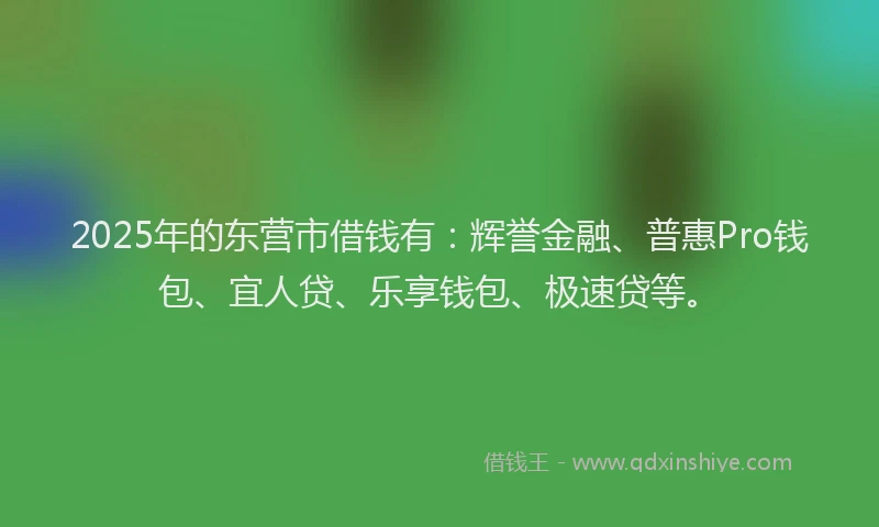 2025年的东营市借钱有：辉誉金融、普惠Pro钱包、宜人贷、乐享钱包、极速贷等。
