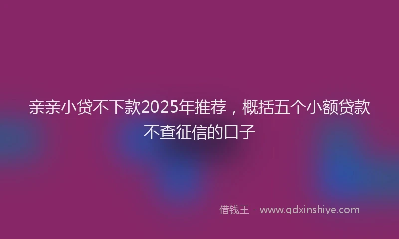 亲亲小贷不下款2025年推荐，概括五个小额贷款不查征信的口子