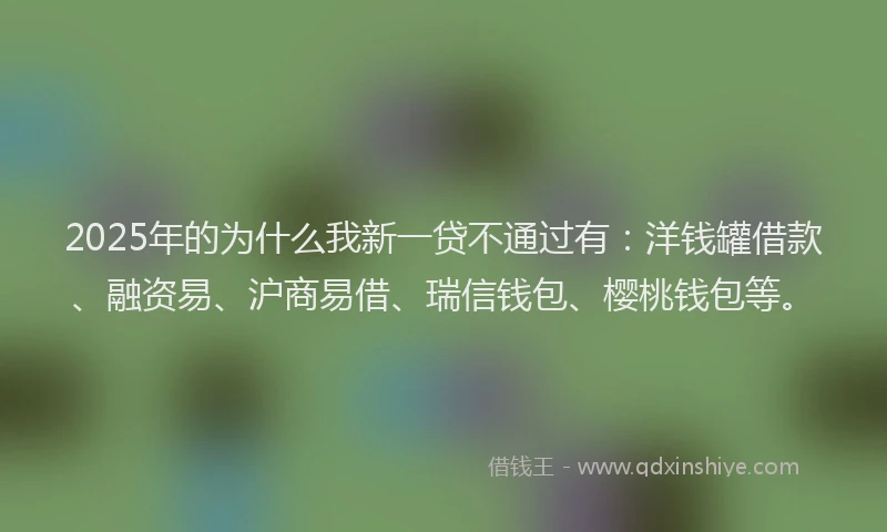 2025年的为什么我新一贷不通过有：洋钱罐借款、融资易、沪商易借、瑞信钱包、樱桃钱包等。