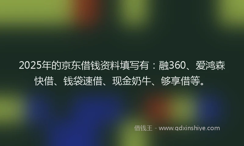 2025年的京东借钱资料填写有：融360、爱鸿森快借、钱袋速借、现金奶牛、够享借等。