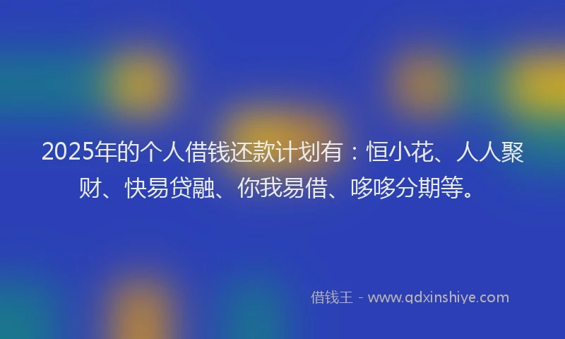 2025年的个人借钱还款计划有：恒小花、人人聚财、快易贷融、你我易借、哆哆分期等。
