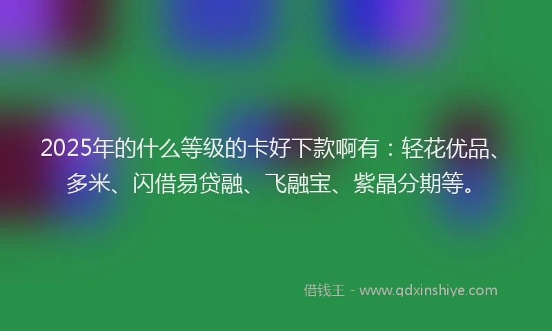 2025年的什么等级的卡好下款啊有：轻花优品、多米、闪借易贷融、飞融宝、紫晶分期等。