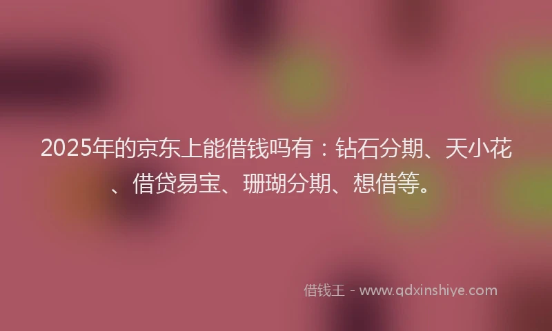 2025年的京东上能借钱吗有：钻石分期、天小花、借贷易宝、珊瑚分期、想借等。