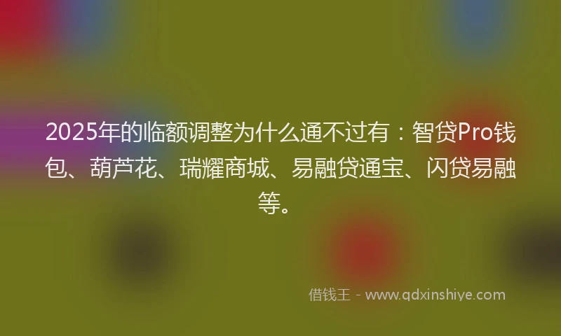 2025年的临额调整为什么通不过有：智贷Pro钱包、葫芦花、瑞耀商城、易融贷通宝、闪贷易融等。