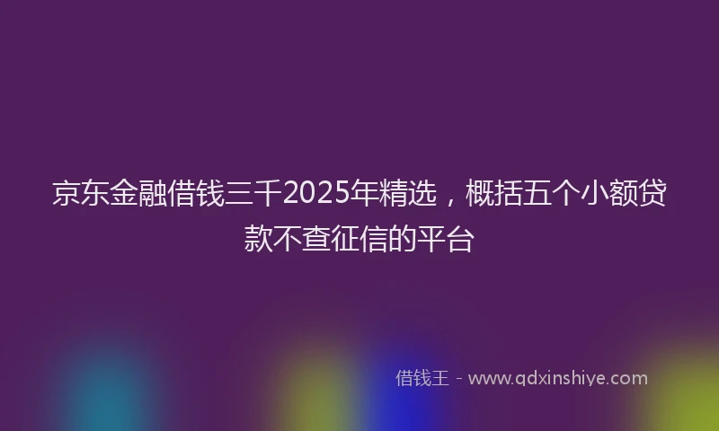 京东金融借钱三千2025年精选，概括五个小额贷款不查征信的平台