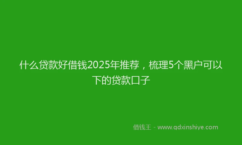 什么贷款好借钱2025年推荐，梳理5个黑户可以下的贷款口子