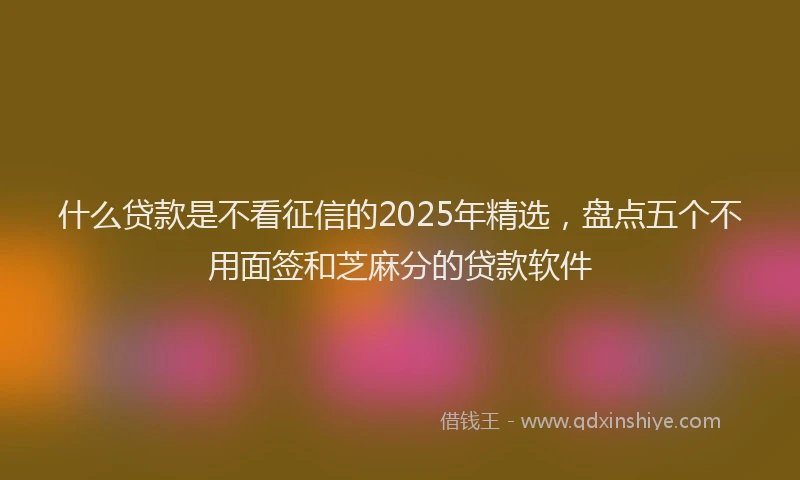 什么贷款是不看征信的2025年精选，盘点五个不用面签和芝麻分的贷款软件