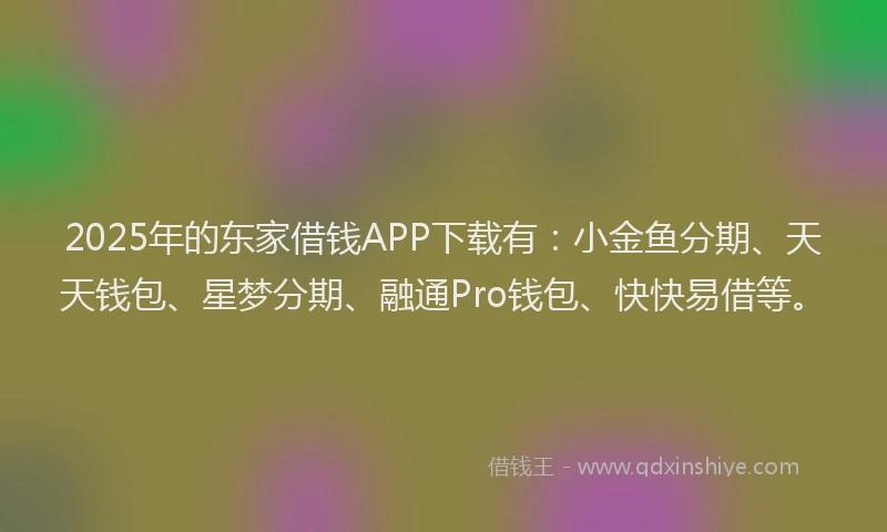 2025年的东家借钱APP下载有：小金鱼分期、天天钱包、星梦分期、融通Pro钱包、快快易借等。
