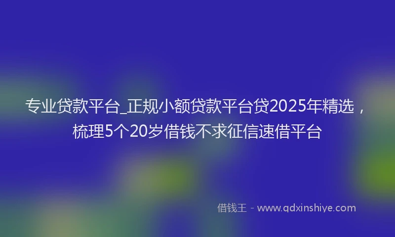 专业贷款平台_正规小额贷款平台贷2025年精选，梳理5个20岁借钱不求征信速借平台