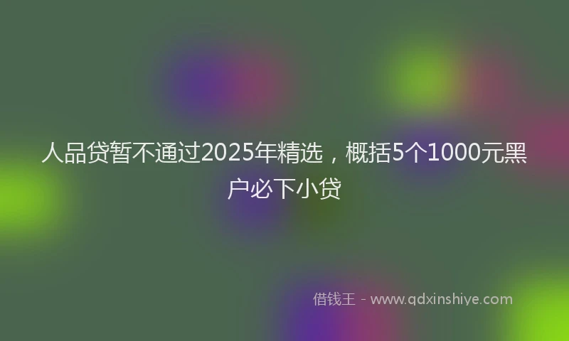 人品贷暂不通过2025年精选，概括5个1000元黑户必下小贷