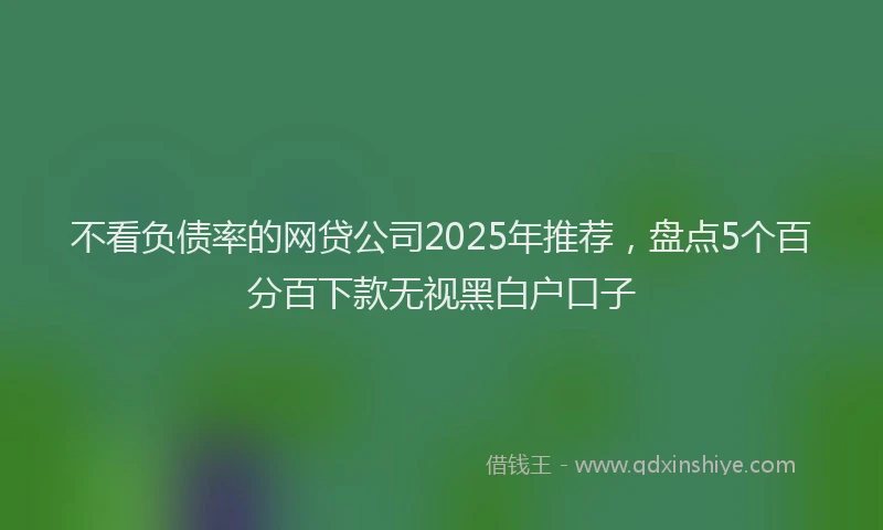 不看负债率的网贷公司2025年推荐，盘点5个百分百下款无视黑白户口子