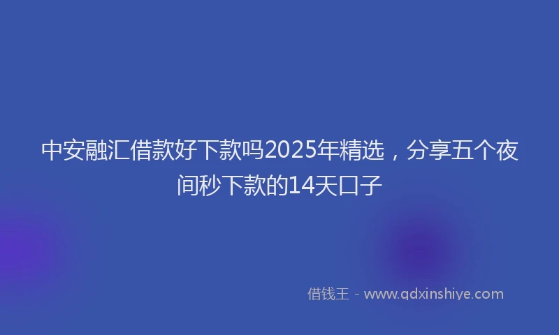中安融汇借款好下款吗2025年精选，分享五个夜间秒下款的14天口子