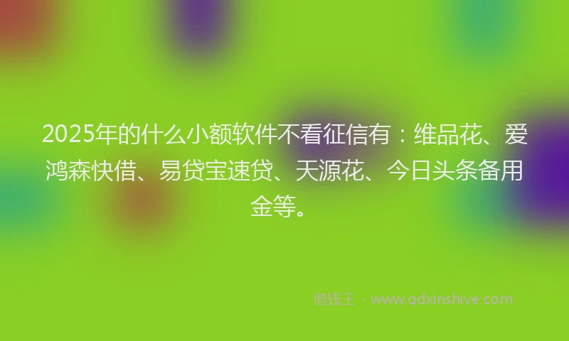 2025年的什么小额软件不看征信有：维品花、爱鸿森快借、易贷宝速贷、天源花、今日头条备用金等。