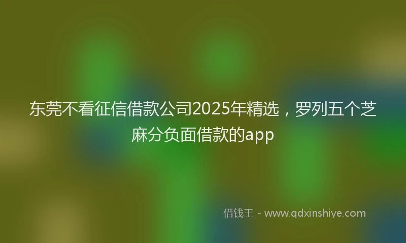 东莞不看征信借款公司2025年精选，罗列五个芝麻分负面借款的app