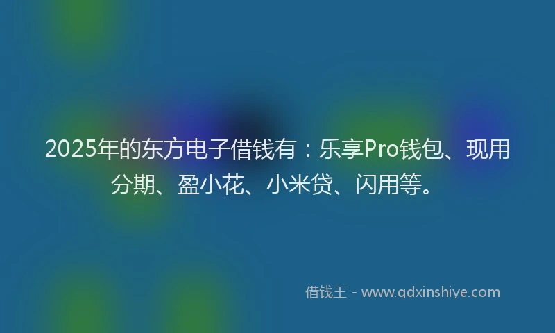 2025年的东方电子借钱有：乐享Pro钱包、现用分期、盈小花、小米贷、闪用等。