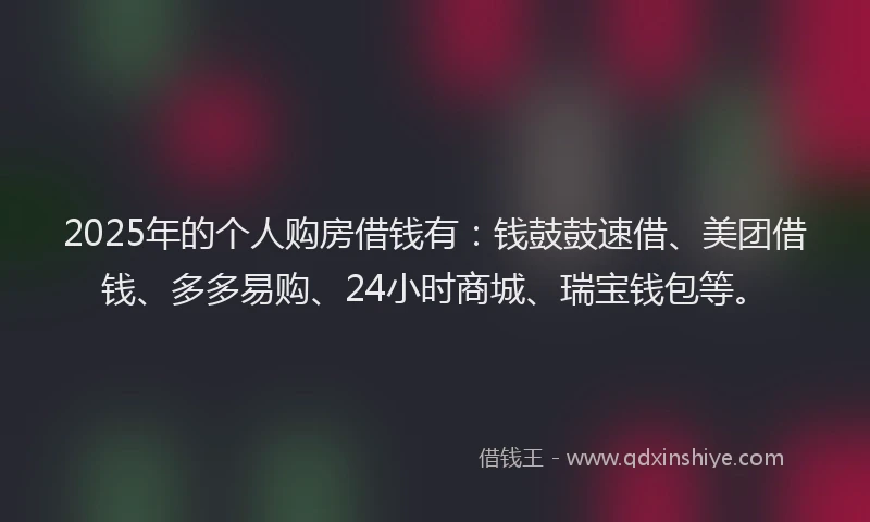 2025年的个人购房借钱有：钱鼓鼓速借、美团借钱、多多易购、24小时商城、瑞宝钱包等。