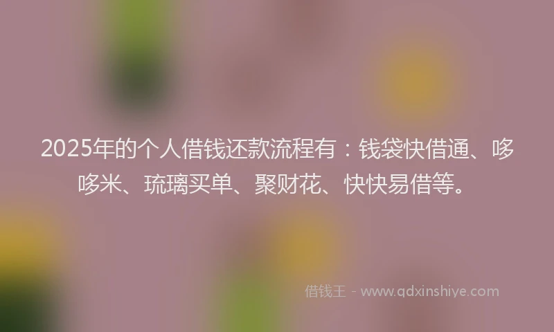 2025年的个人借钱还款流程有：钱袋快借通、哆哆米、琉璃买单、聚财花、快快易借等。