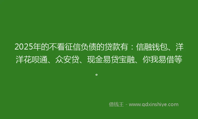 2025年的不看征信负债的贷款有：信融钱包、洋洋花呗通、众安贷、现金易贷宝融、你我易借等。