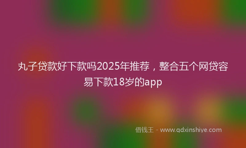 丸子贷款好下款吗2025年推荐，整合五个网贷容易下款18岁的app