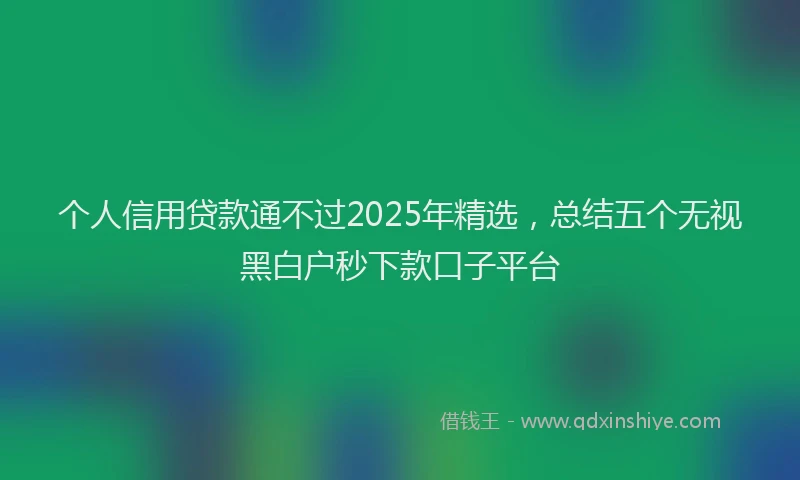 个人信用贷款通不过2025年精选，总结五个无视黑白户秒下款口子平台