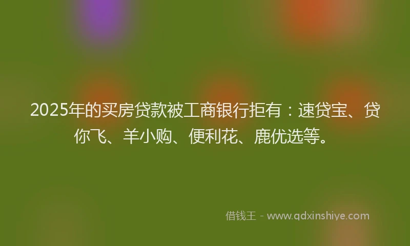 2025年的买房贷款被工商银行拒有：速贷宝、贷你飞、羊小购、便利花、鹿优选等。