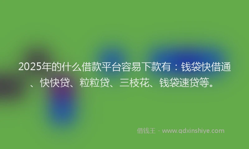 2025年的什么借款平台容易下款有：钱袋快借通、快快贷、粒粒贷、三枝花、钱袋速贷等。