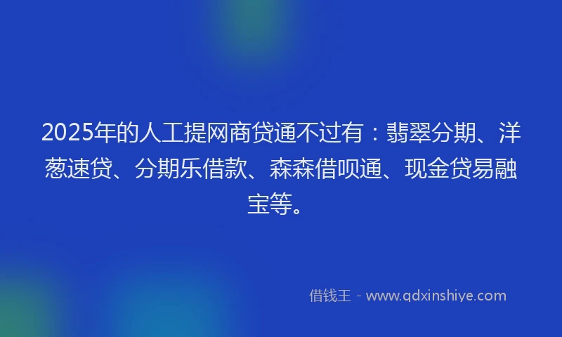 2025年的人工提网商贷通不过有：翡翠分期、洋葱速贷、分期乐借款、森森借呗通、现金贷易融宝等。