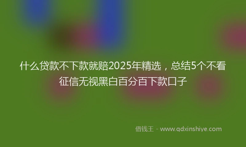 什么贷款不下款就赔2025年精选，总结5个不看征信无视黑白百分百下款口子