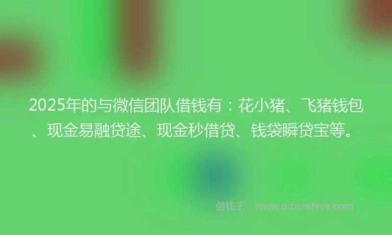 2025年的与微信团队借钱有：花小猪、飞猪钱包、现金易融贷途、现金秒借贷、钱袋瞬贷宝等。