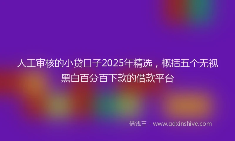 人工审核的小贷口子2025年精选，概括五个无视黑白百分百下款的借款平台