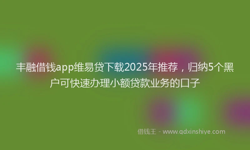 丰融借钱app维易贷下载2025年推荐，归纳5个黑户可快速办理小额贷款业务的口子