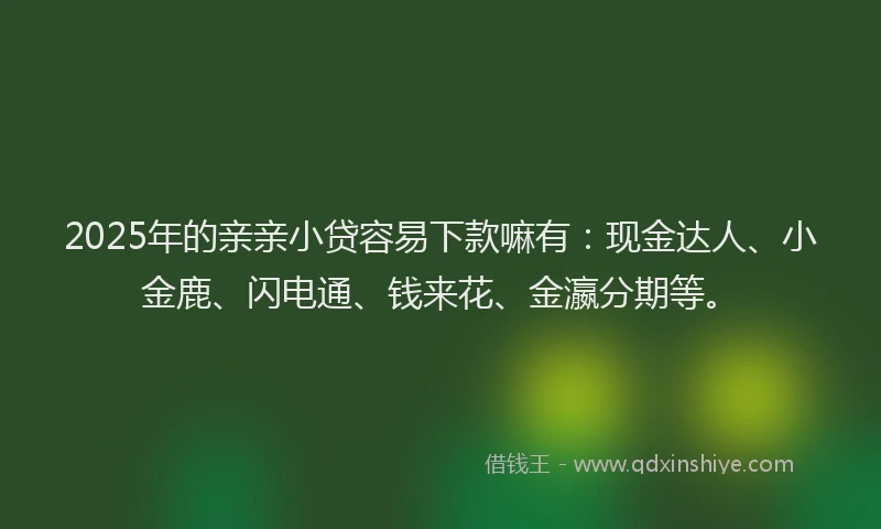 2025年的亲亲小贷容易下款嘛有：现金达人、小金鹿、闪电通、钱来花、金瀛分期等。