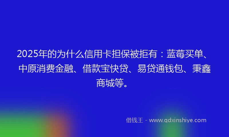 2025年的为什么信用卡担保被拒有：蓝莓买单、中原消费金融、借款宝快贷、易贷通钱包、秉鑫商城等。
