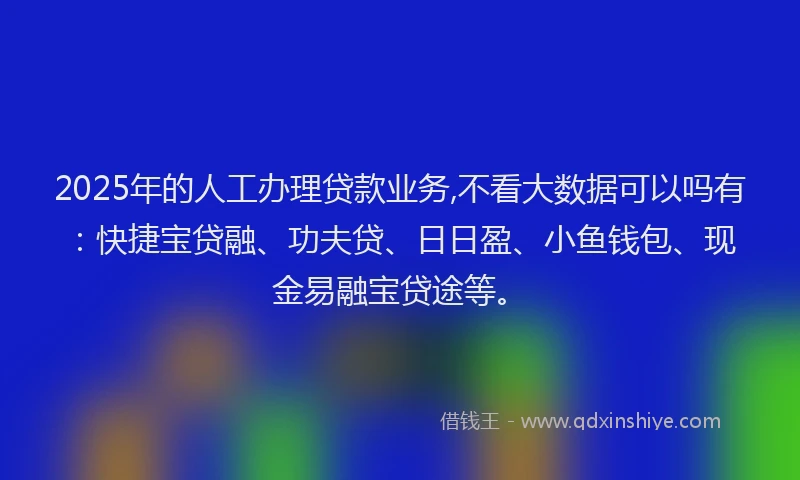 2025年的人工办理贷款业务,不看大数据可以吗有：快捷宝贷融、功夫贷、日日盈、小鱼钱包、现金易融宝贷途等。