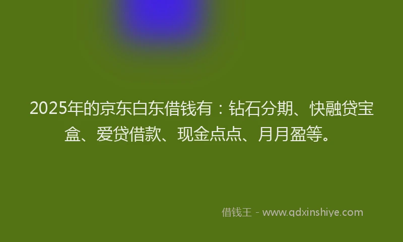 2025年的京东白东借钱有：钻石分期、快融贷宝盒、爱贷借款、现金点点、月月盈等。