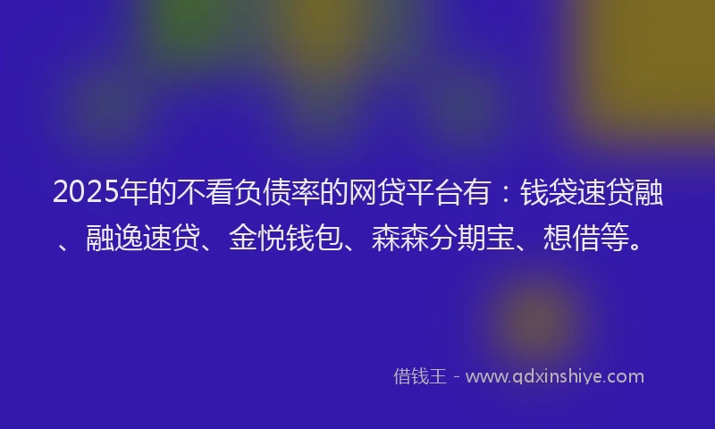 2025年的不看负债率的网贷平台有：钱袋速贷融、融逸速贷、金悦钱包、森森分期宝、想借等。