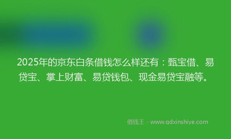 2025年的京东白条借钱怎么样还有：甄宝借、易贷宝、掌上财富、易贷钱包、现金易贷宝融等。