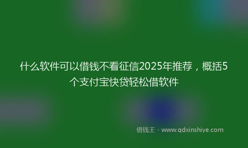 什么软件可以借钱不看征信2025年推荐，概括5个支付宝快贷轻松借软件