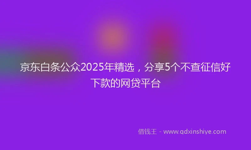 京东白条公众2025年精选，分享5个不查征信好下款的网贷平台
