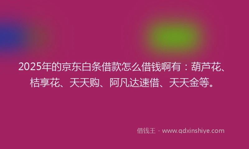2025年的京东白条借款怎么借钱啊有：葫芦花、桔享花、天天购、阿凡达速借、天天金等。