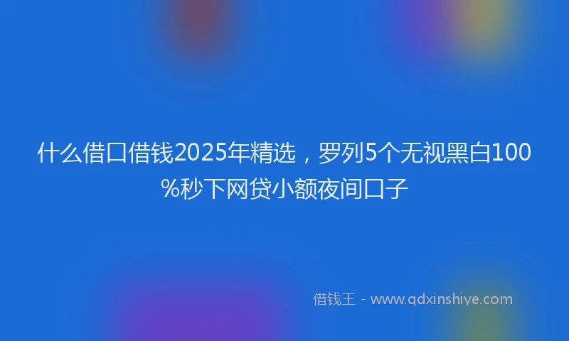 什么借口借钱2025年精选，罗列5个无视黑白100%秒下网贷小额夜间口子