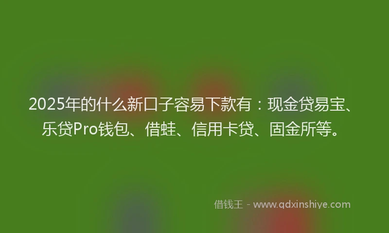 2025年的什么新口子容易下款有：现金贷易宝、乐贷Pro钱包、借蛙、信用卡贷、固金所等。
