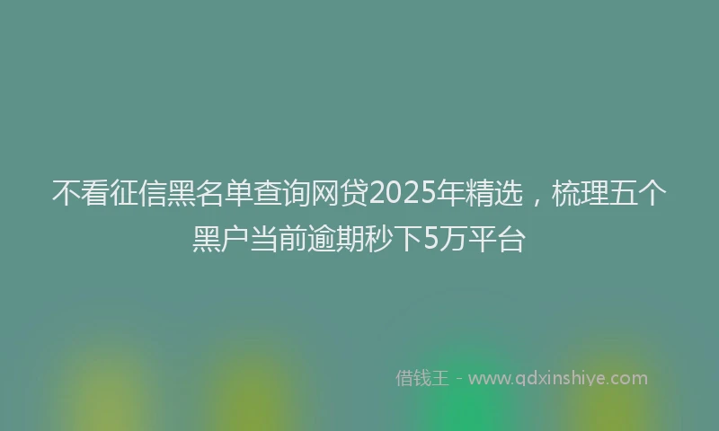 不看征信黑名单查询网贷2025年精选，梳理五个黑户当前逾期秒下5万平台