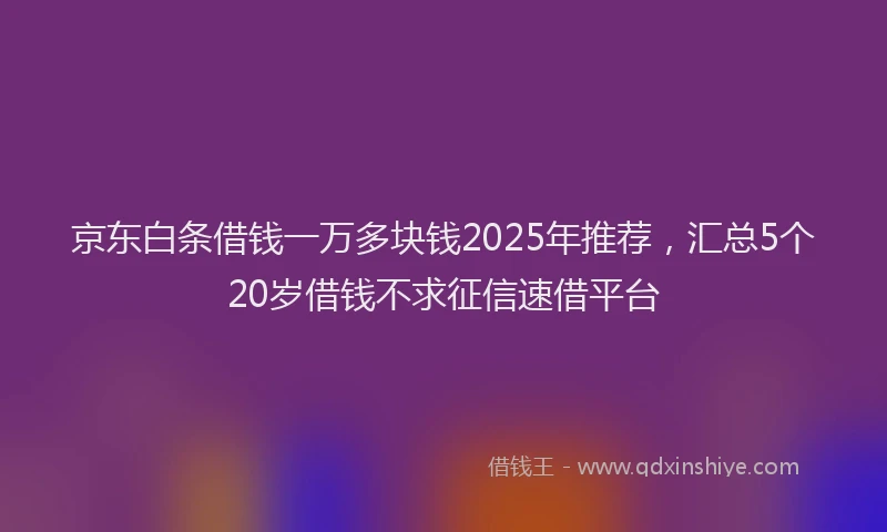 京东白条借钱一万多块钱2025年推荐，汇总5个20岁借钱不求征信速借平台