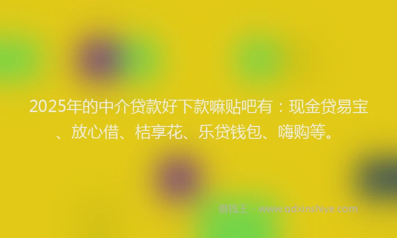 2025年的中介贷款好下款嘛贴吧有：现金贷易宝、放心借、桔享花、乐贷钱包、嗨购等。