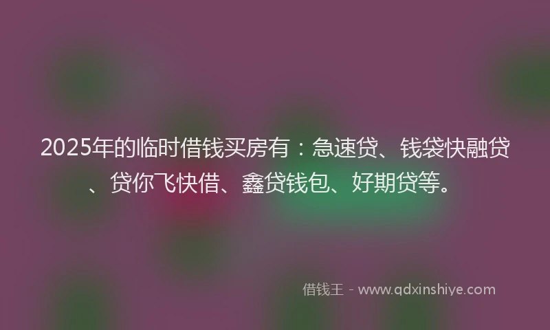 2025年的临时借钱买房有：急速贷、钱袋快融贷、贷你飞快借、鑫贷钱包、好期贷等。