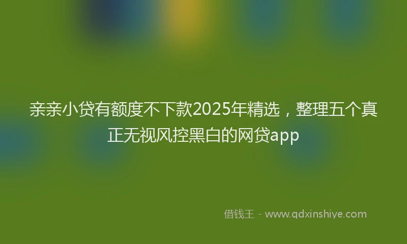 亲亲小贷有额度不下款2025年精选，整理五个真正无视风控黑白的网贷app