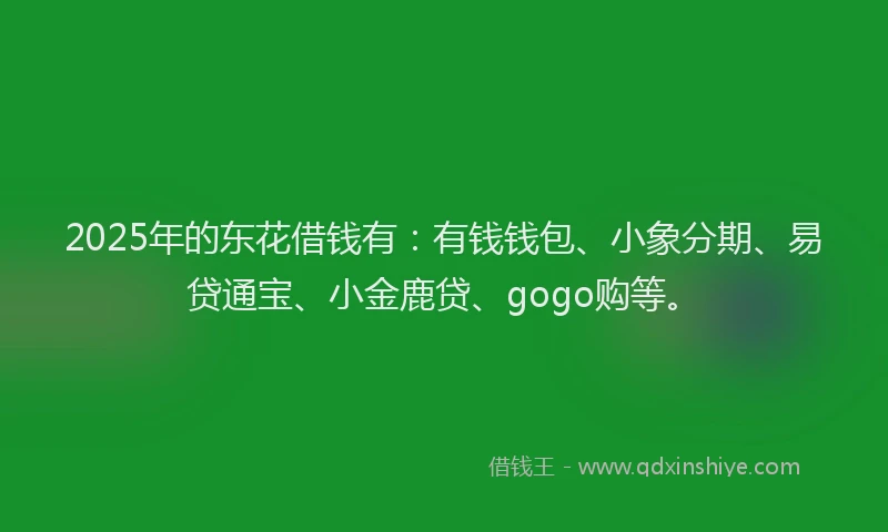 2025年的东花借钱有：有钱钱包、小象分期、易贷通宝、小金鹿贷、gogo购等。