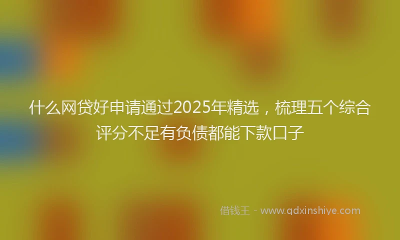 什么网贷好申请通过2025年精选，梳理五个综合评分不足有负债都能下款口子